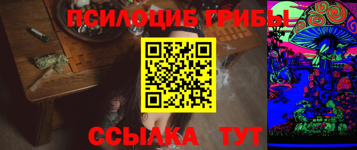 Галлюциногенные грибы Psilocybe Знаменск